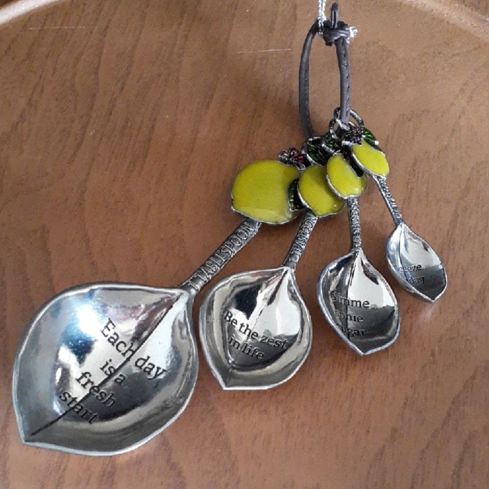 NWOT Ganz Measuring Spoon Set AA102